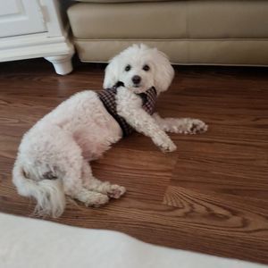 Meet your Posher, Lorena